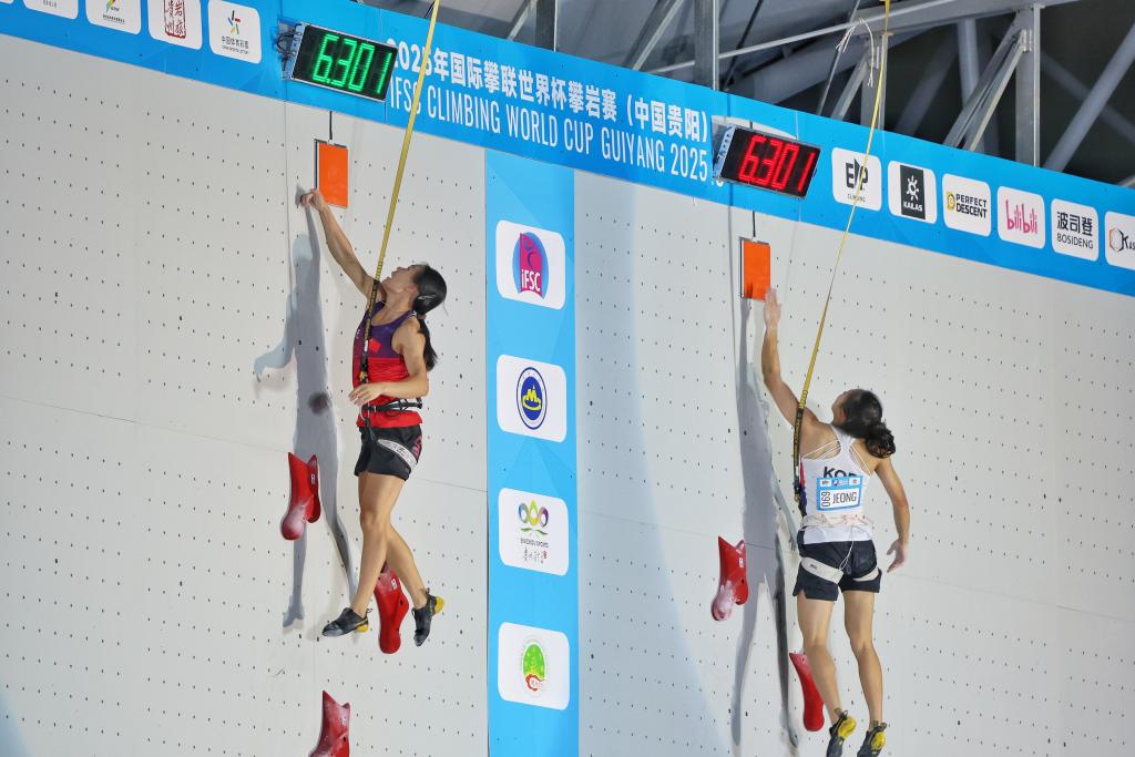 cn, 厅不久前印, 地民族特色 cn, 厅不久前印, 地民族特色