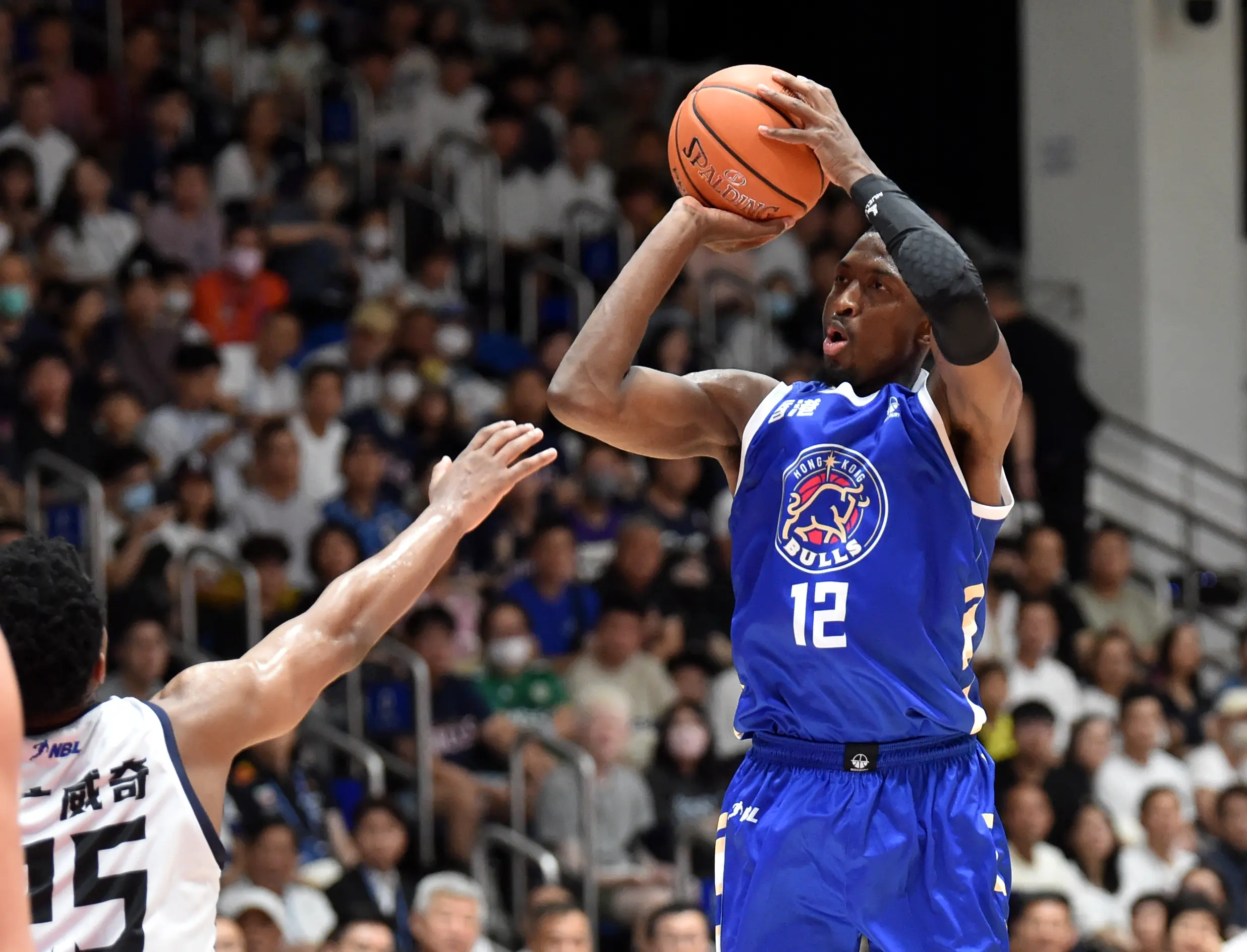 msn, 的非常清晰 msn, 的非常清晰